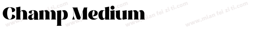 Champ Medium字体转换
